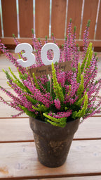 Blumenstecker, kleines Geschenk, nette Botschaft, Mitbringsel