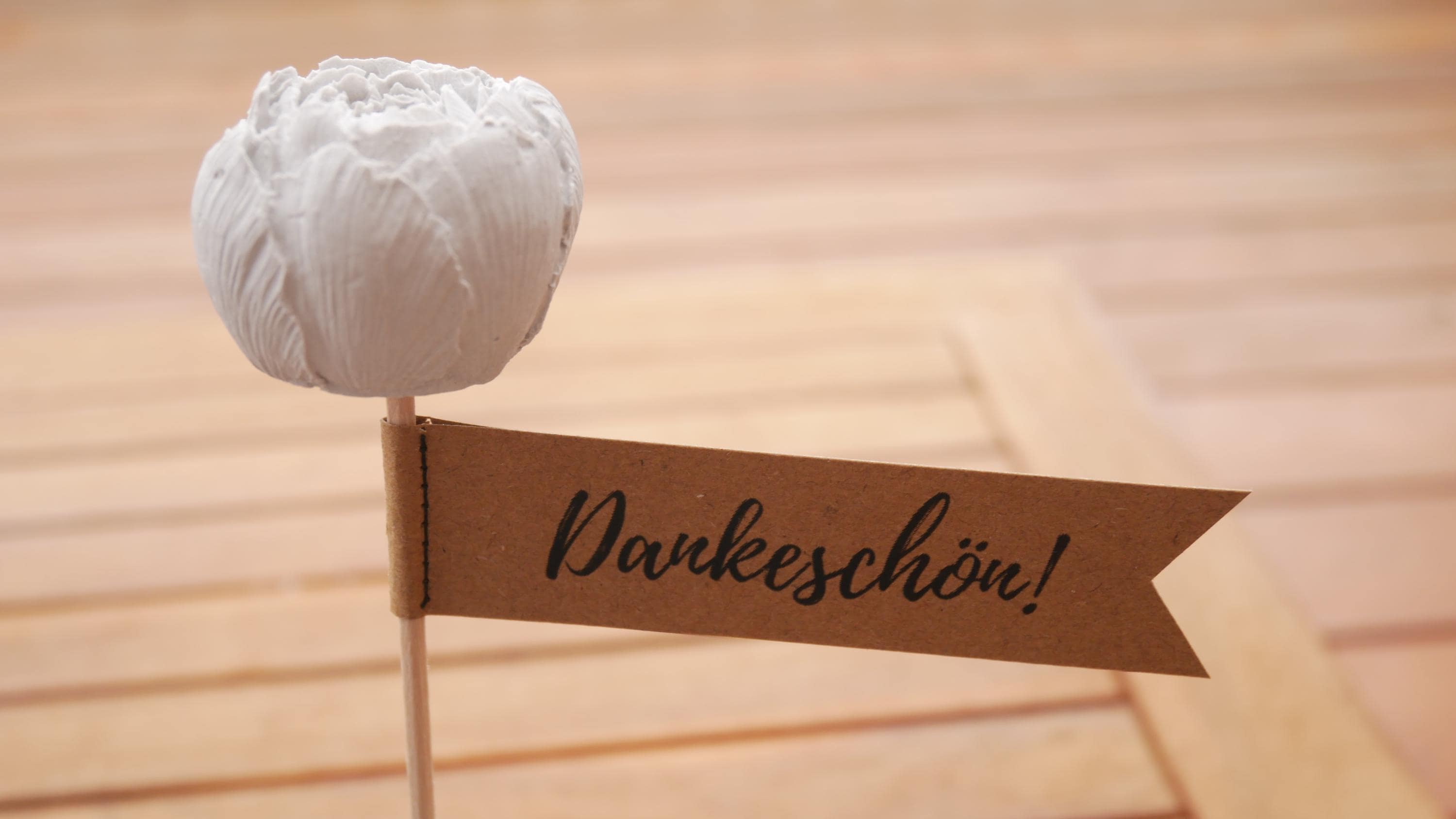 weißer Raysin Blumenstecker, kleines Geschenk, nette Botschaft, Mitbringsel