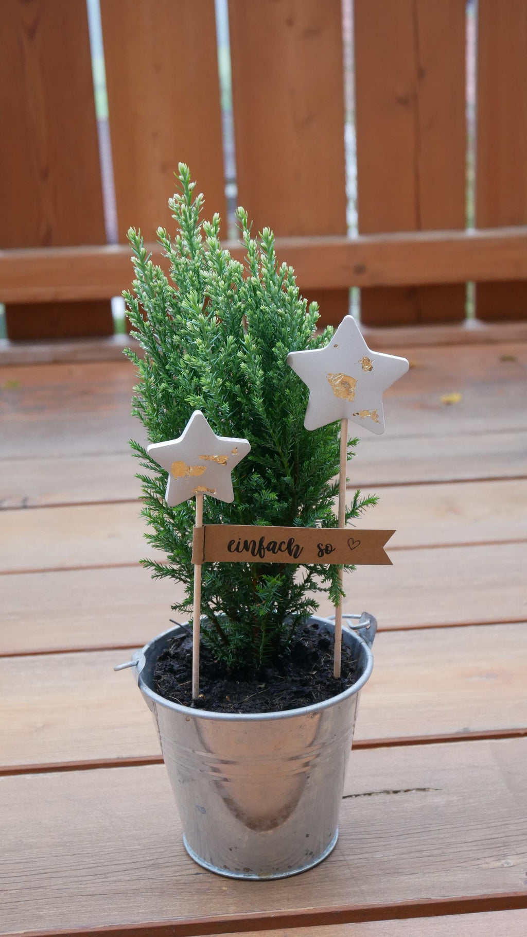 Blumenstecker, kleines Geschenk, nette Botschaft, Mitbringsel, Stern, Weihnachtsgeschenk, Weihnachtsdeko