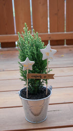 Blumenstecker, kleines Geschenk, nette Botschaft, Mitbringsel, Stern, Weihnachtsgeschenk, Weihnachtsdeko