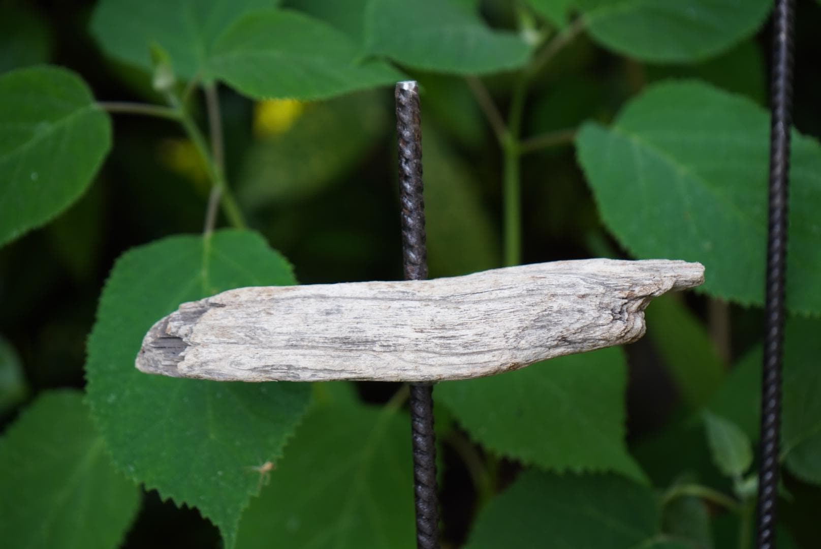 glatte Deko Kugel, Beton Kugel, Gartendeko, Kugel für den Garten MIT Holzstück und kleiner Kugel, Gartenstecker