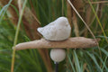 Deko Vogel, Beton Vogel, Gartendeko, Vögel für den Garten, Dekoration